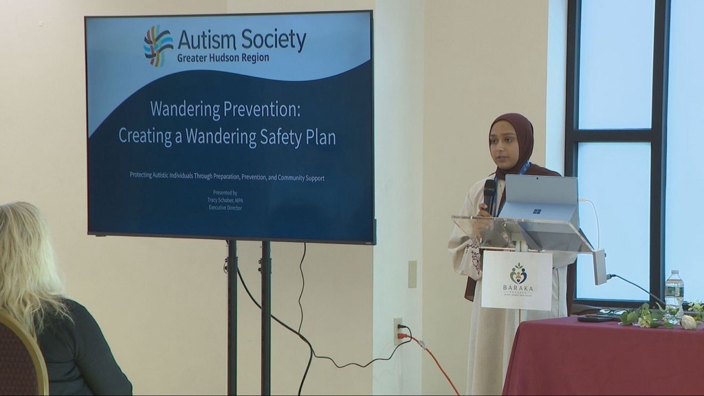 Wandering prevention
